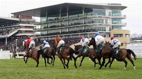 cheltenham going report